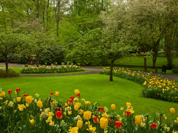 Cursos online de Jardinería